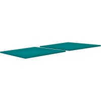 Buffalo Roller pooltafel 8ft